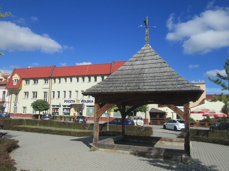 Fot. Włodzimierz Amerski 282