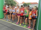 Festiwal Chodu_3