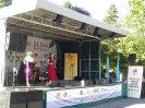 Koncert _13