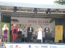 90-lecie Oliwy  - koncert  fot. Marta Polak