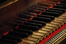 Koncert_9