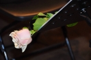 Koncert _23