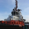 Holowniki_6