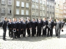 ZSM_147