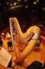 Koncert_9