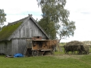 Kluki