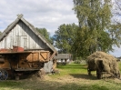Kluki