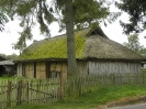 Kluki