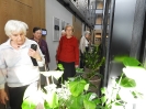 Seniorzy w Hotelu PURO 22.03.2019  fot. Marta Polak