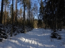 Spacer Osowa - Chwaszczyno 2017-02-11 fot. Marta Polak