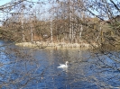 W Parku Reagana  2019-02-24 fot. Marta Polak