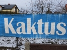 Kaktusiarnia