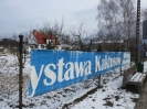 Kaktusiarnia