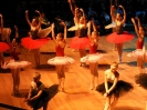 Koncert_19