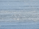 Zima_20