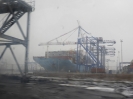 Port_156