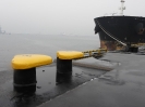 Port_161