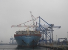 Port_163
