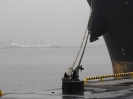 Port_175