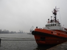 Port_61